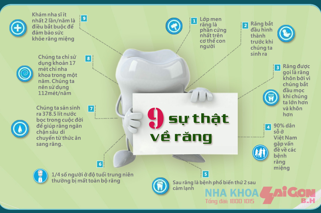 9 sự thật thú vị về răng, bạn đã biết chưa?